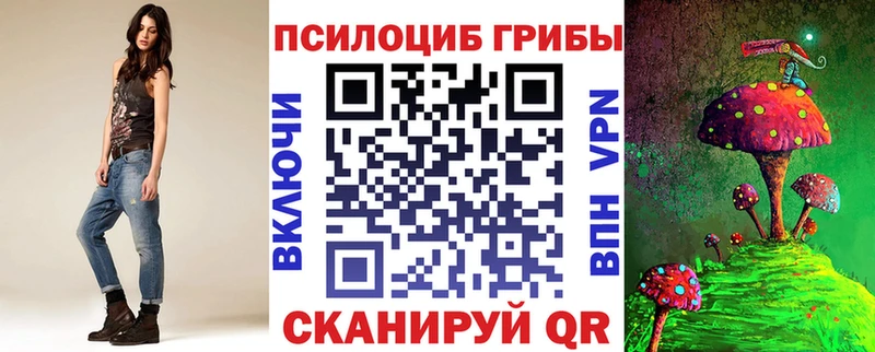 закладки  Буйнакск  Галлюциногенные грибы Cubensis 